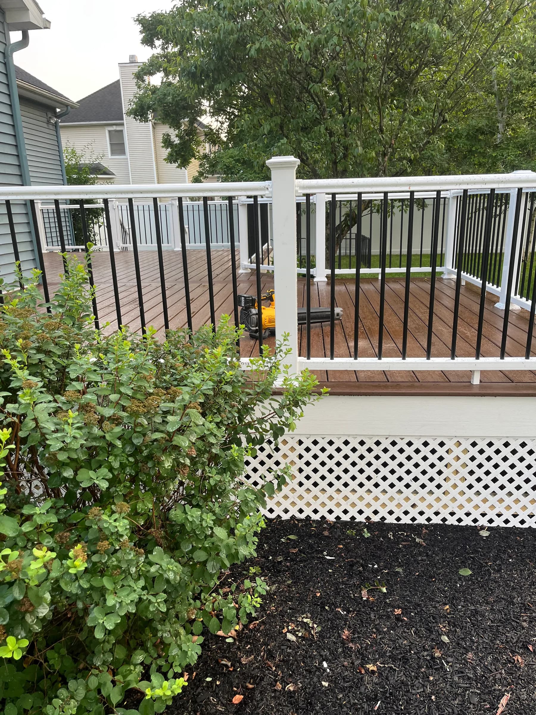 Side view of composite deck with tropical plant
